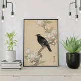 Malen nach Zahlen Amsel bei Magnolie Japan