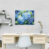 Malen nach Zahlen Blaue Hortensie
