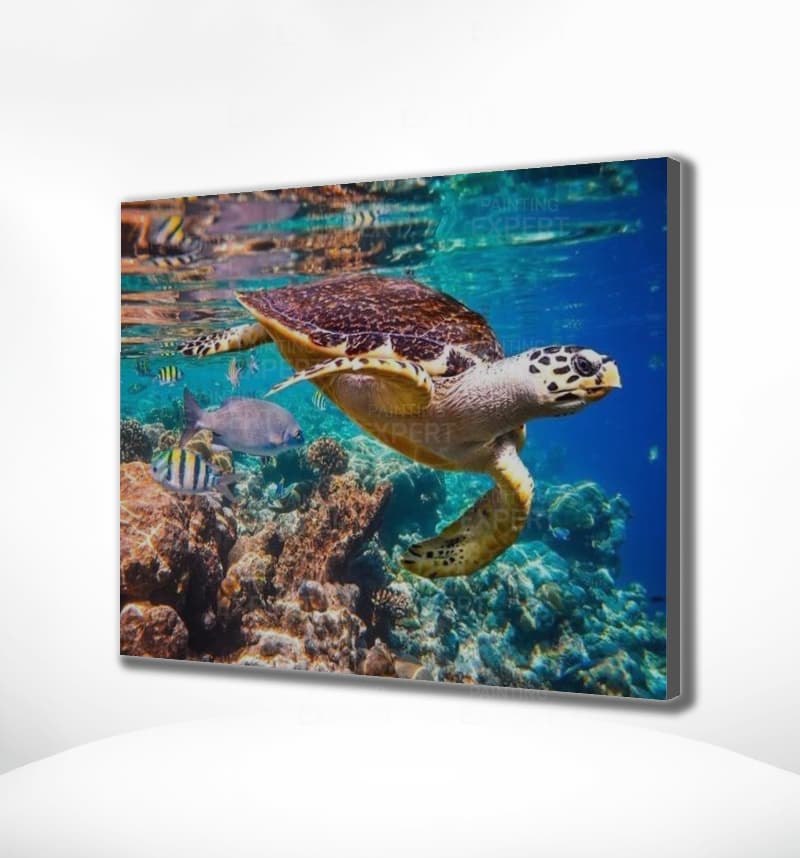 Diamond Painting Schildkröte Meer