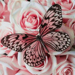 Diamond Painting Schmetterling mit Blumen