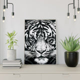 Diamond Painting Schwarz-Weiß Tiger
