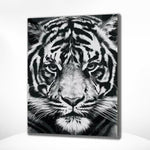 Diamond Painting Schwarz-Weiß Tiger