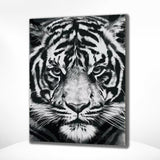 Diamond Painting Schwarz-Weiß Tiger