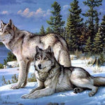 Diamond Painting Zwei Wölfe