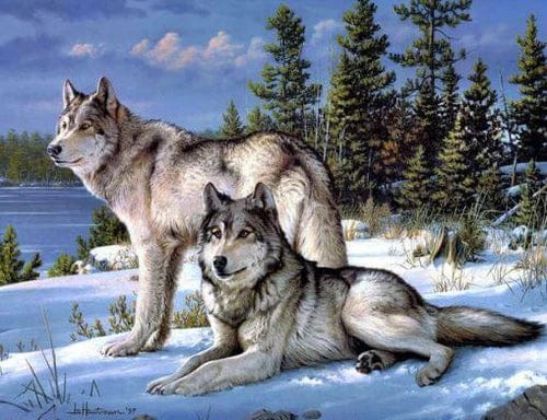 Diamond Painting Zwei Wölfe