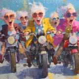 Diamond Painting Gemütliche Damen beim Motorradfahren
