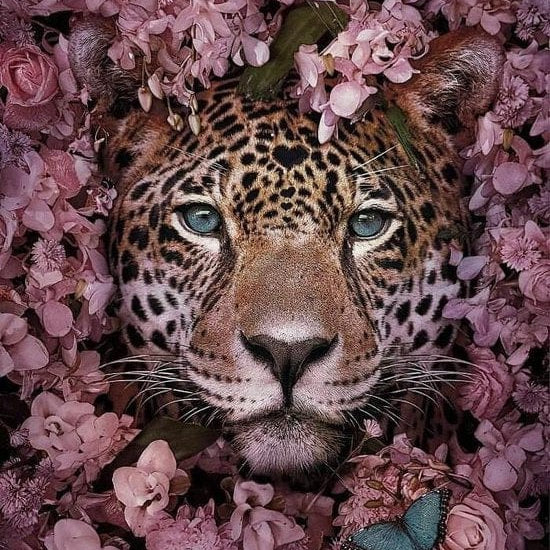 Malen nach Zahlen Tiger mit Blumen