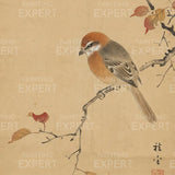Malen nach Zahlen Vogel auf einem stillen Ast Japan