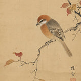 Malen nach Zahlen Vogel auf einem stillen Ast Japan