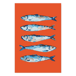 Freigestelltes Motiv Blaue Sardinen ohne Hintergrund