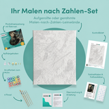 Inhalt des Malen-nach-Zahlen-Sets Hexe, bitte!