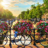 Malen nach Zahlen Amsterdam und Blumen