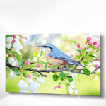 Malen nach Zahlen Blauer Vogel