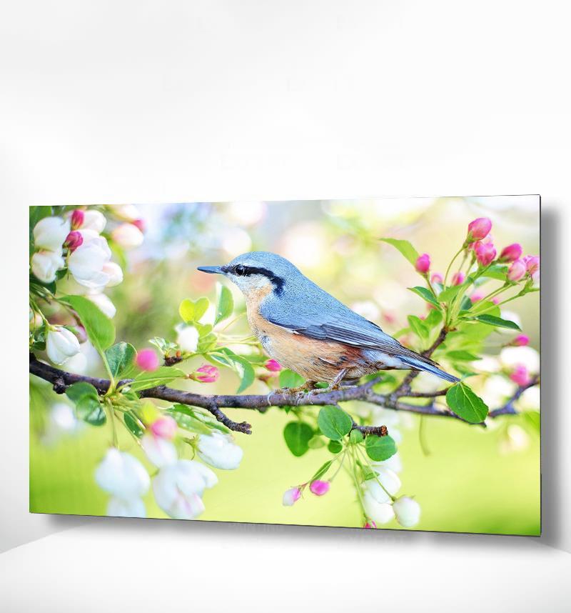 Malen nach Zahlen Blauer Vogel