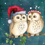 Malen nach Zahlen Eulen Weihnachten