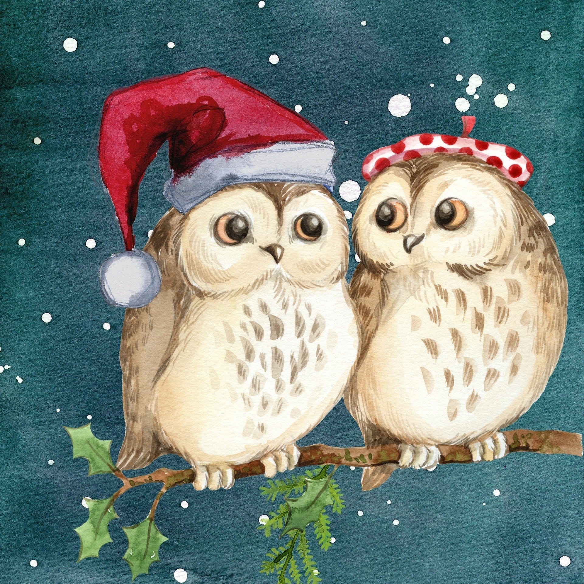 Malen nach Zahlen Eulen Weihnachten
