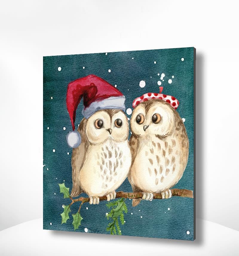 Malen nach Zahlen Eulen Weihnachten