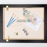 Malen nach Zahlen Grachten von Amsterdam