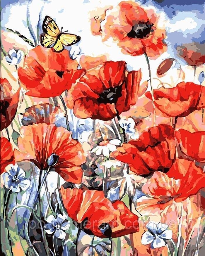 Malen nach Zahlen Mohnblumen mit Schmetterling