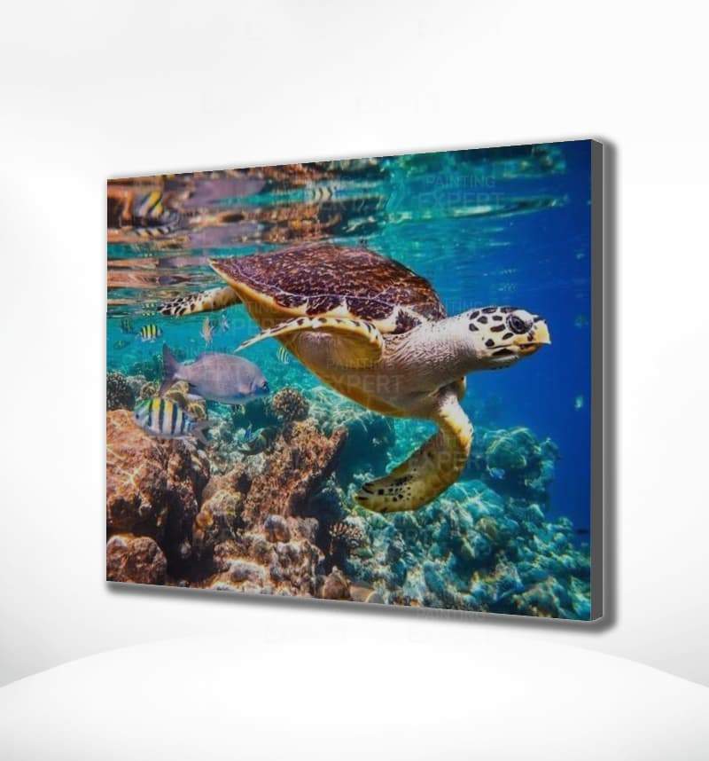 Malen nach Zahlen Schildkröte Meer