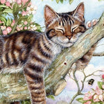 Malen nach Zahlen Schlafende Katze im Baum