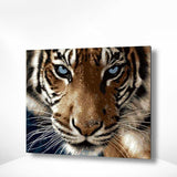 Malen nach Zahlen Tiger mit blauen Augen