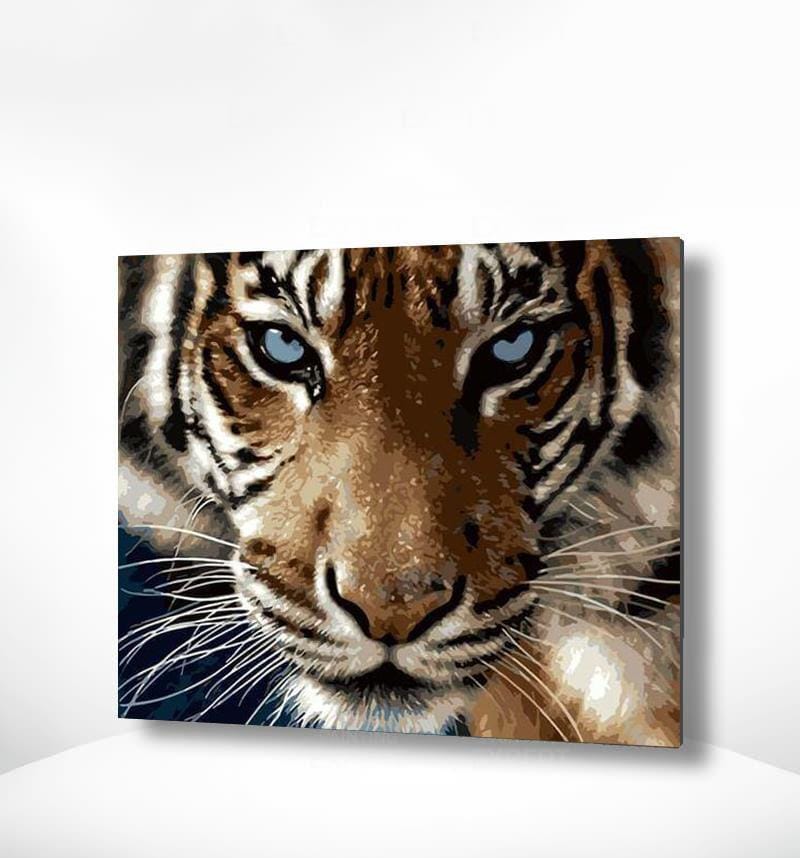 Malen nach Zahlen Tiger mit blauen Augen