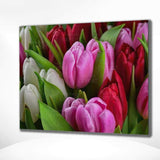 Malen nach Zahlen Tulpen