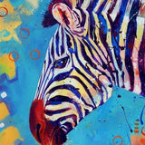 Malen nach Zahlen Zebra mit blauem Hintergrund